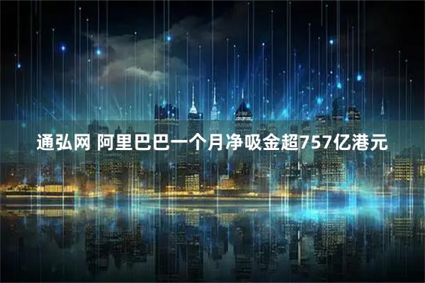 通弘网 阿里巴巴一个月净吸金超757亿港元