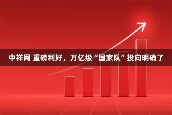 中祥网 重磅利好，万亿级“国家队”投向明确了
